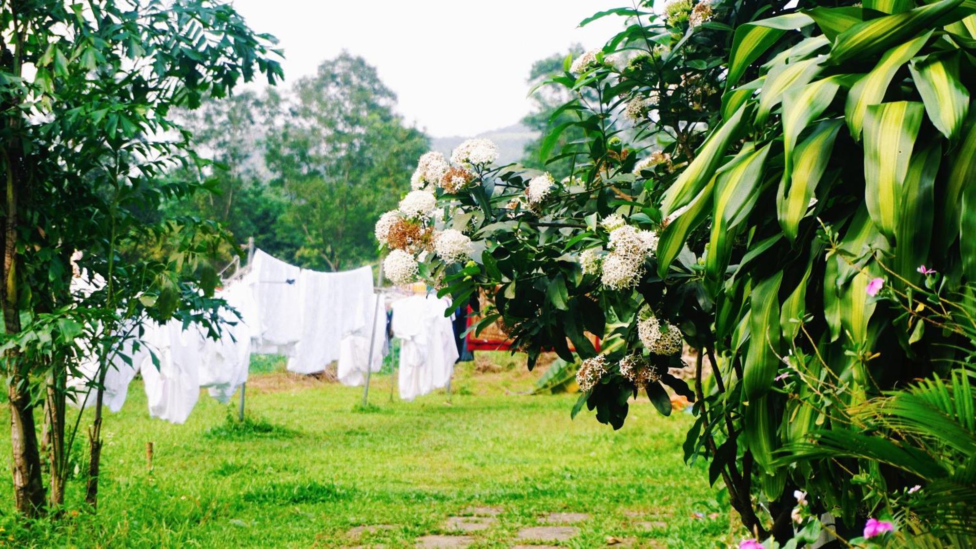 Phong Nha Eco Village Kültér fotó