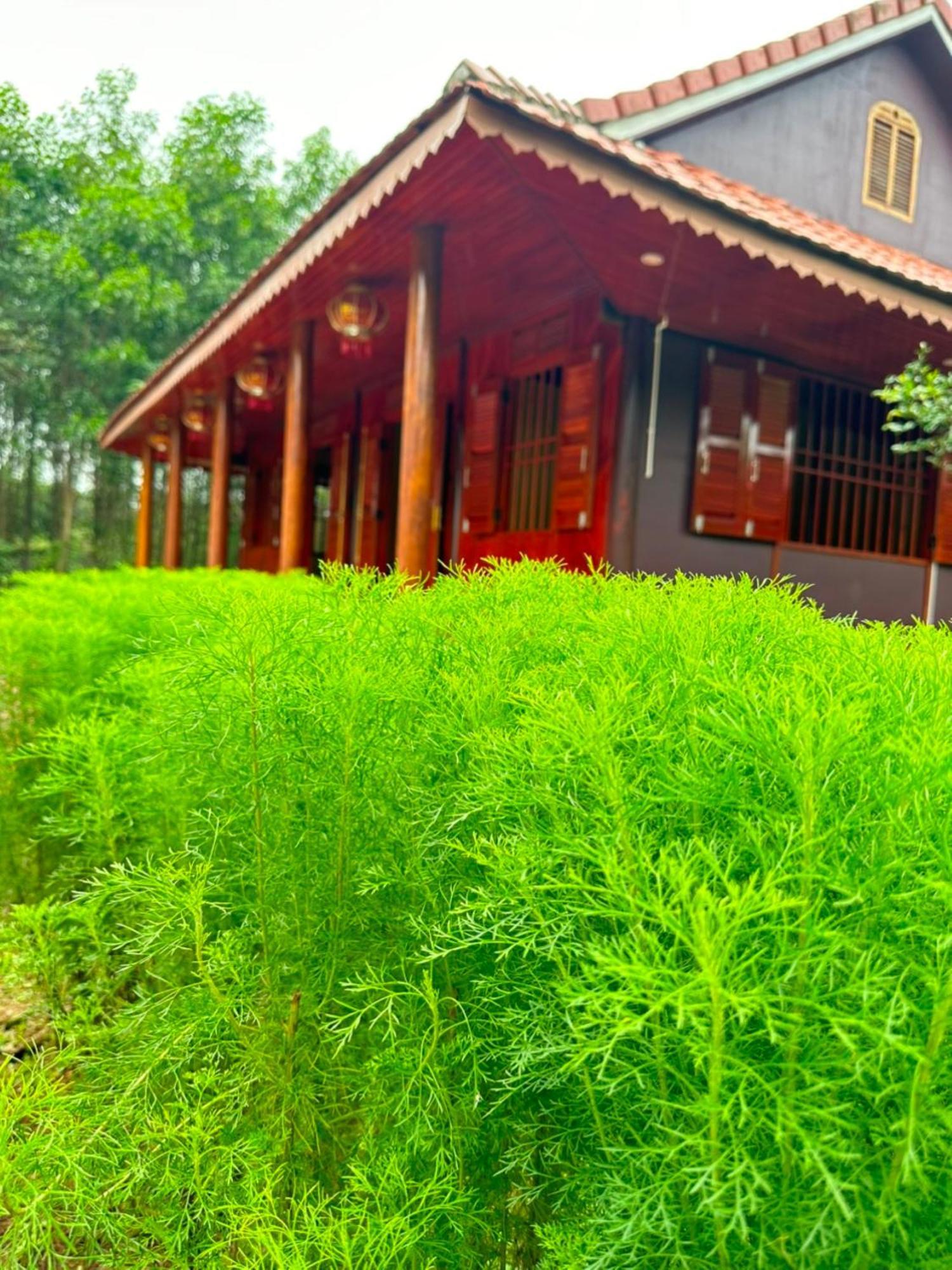 Phong Nha Eco Village Kültér fotó