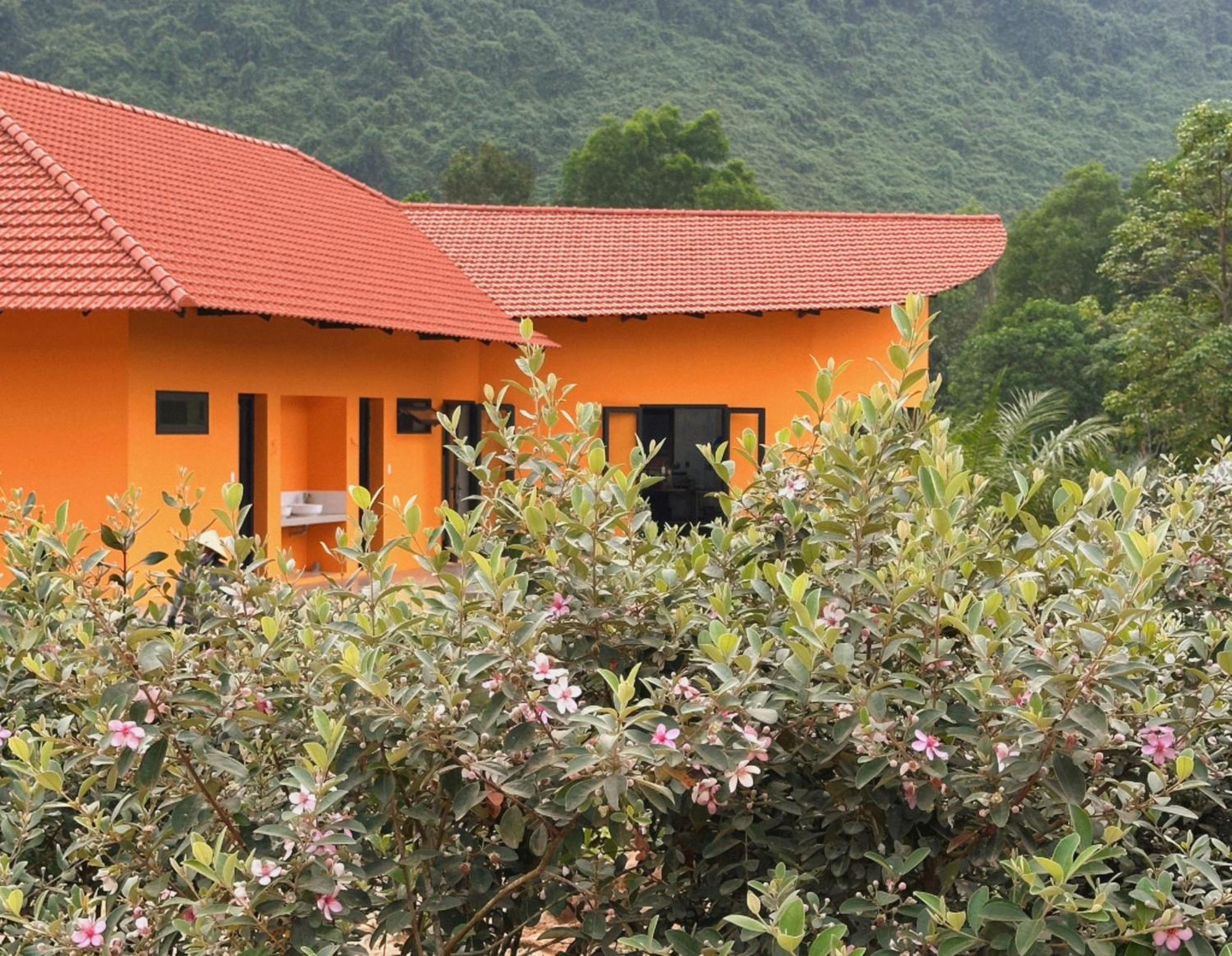 Phong Nha Eco Village Kültér fotó