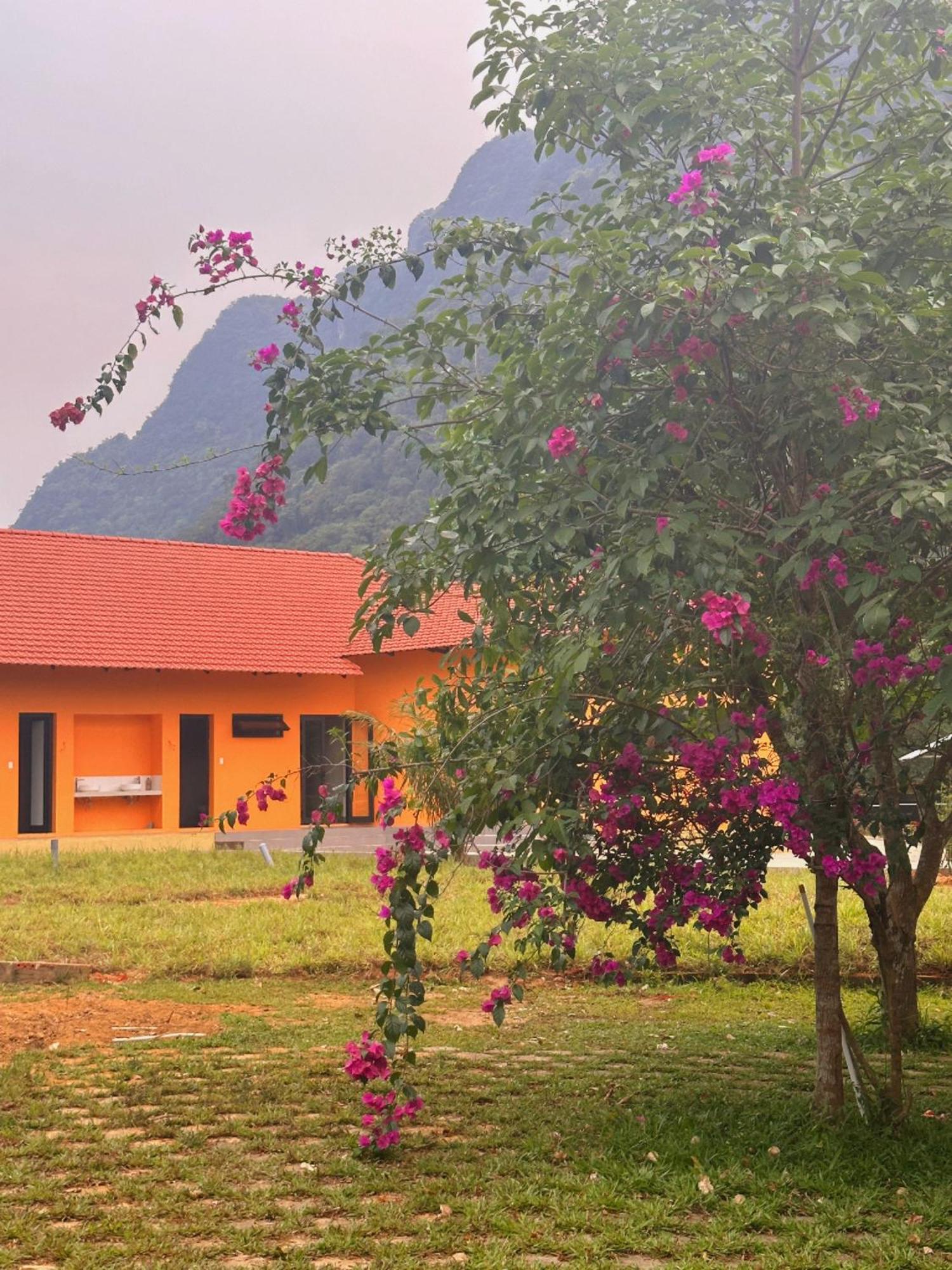 Phong Nha Eco Village Kültér fotó