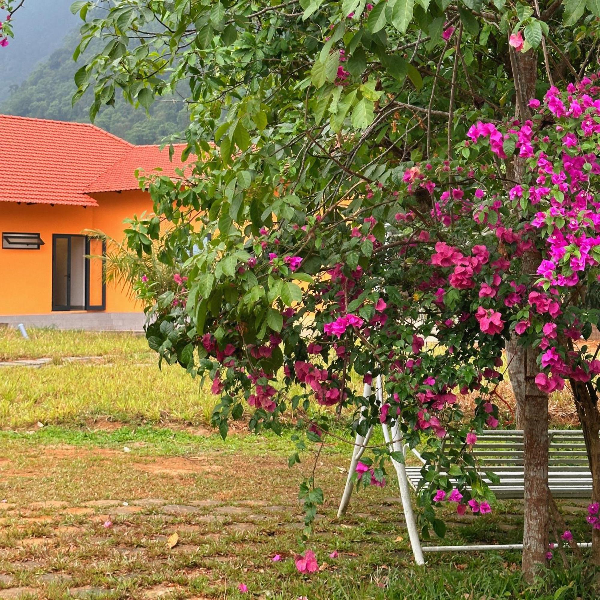 Phong Nha Eco Village Kültér fotó